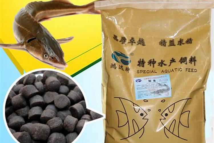 钓鱼怎么让鱼饵沉底