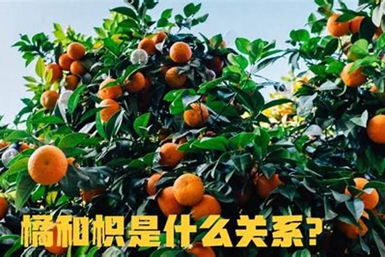 玉米授粉期可以打叶面肥吗,玉米授粉期可以浇水吗
