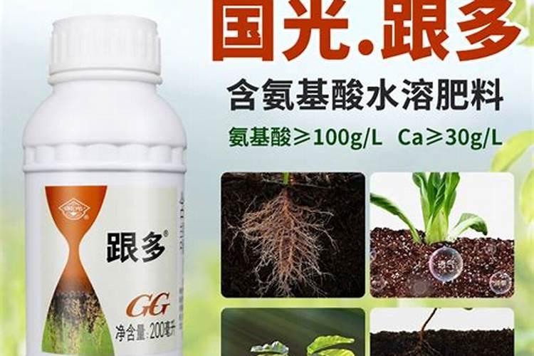 氨基酸水溶肥的功效与作用是什么