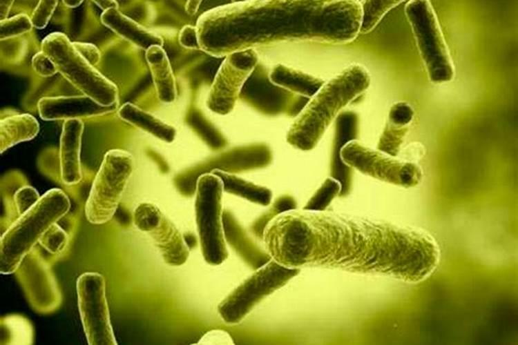 蔬菜促深根作物能增产