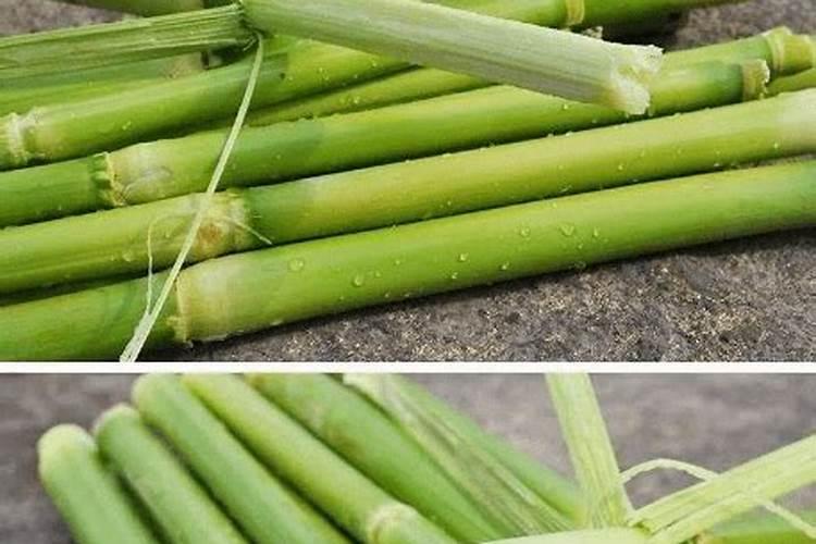 甜芦粟怎么种植方法