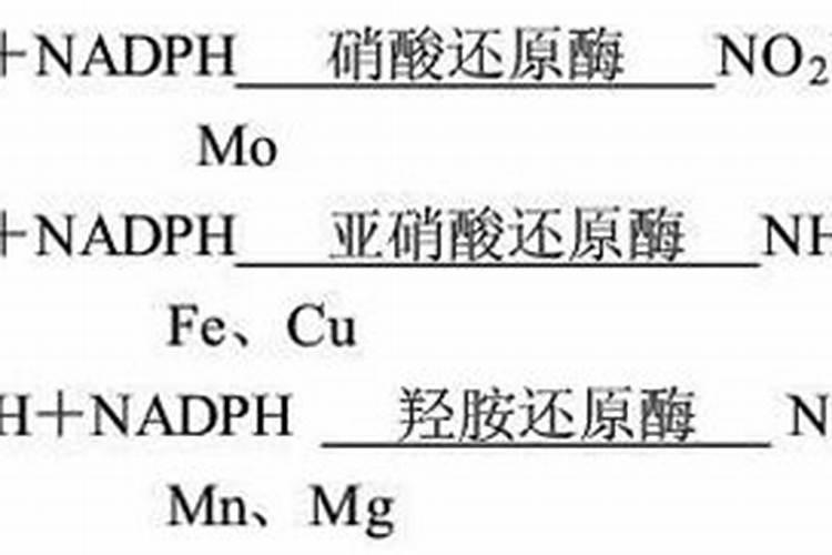 河北哪些地方种水稻