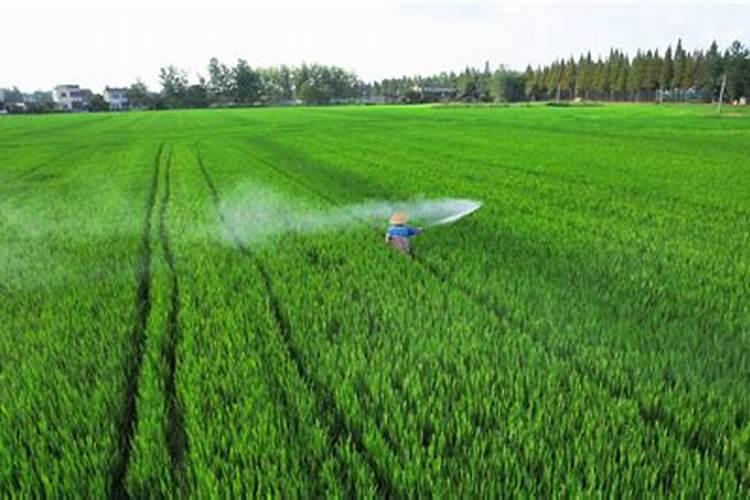 叶面肥和农药可以混在一起使用吗