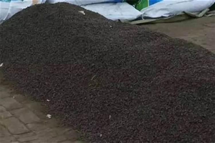 氮肥施用有哪些禁忌