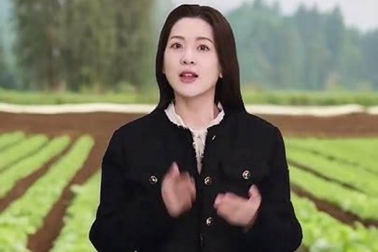 牡丹叶面肥打什么 喷肥注意事项