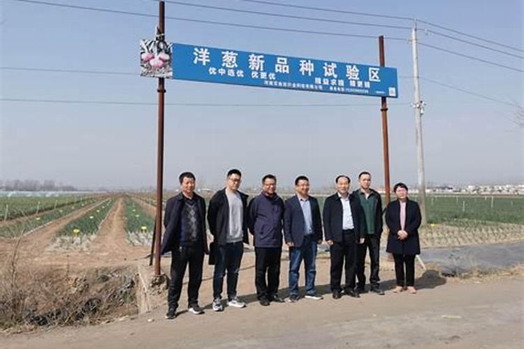 作物重茬怎么解决