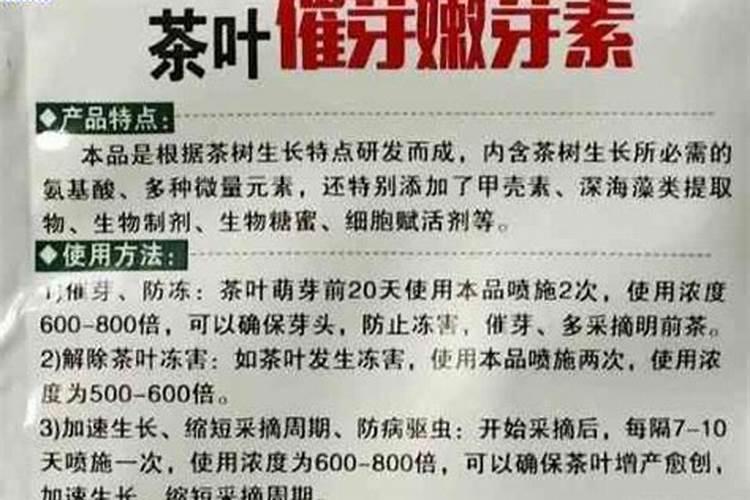 钾肥对茶树的作用