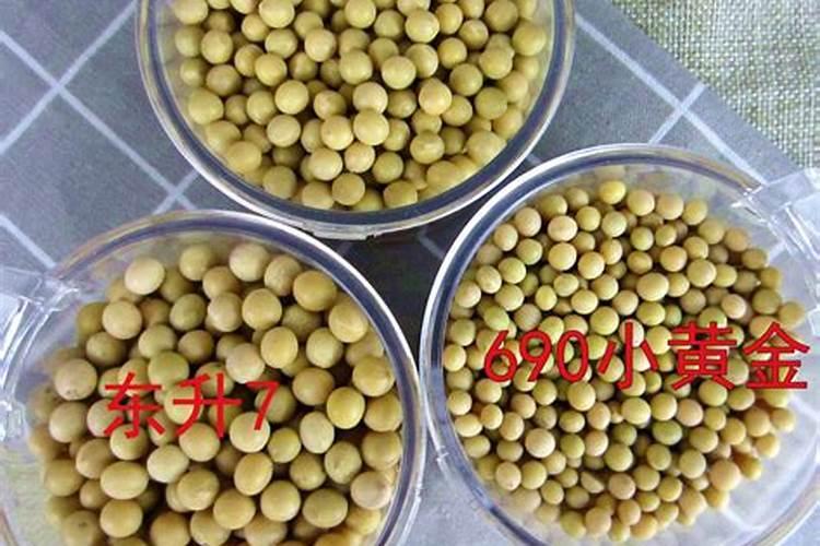 怎样分辨缓式控释肥的真假？控释肥有多少种？