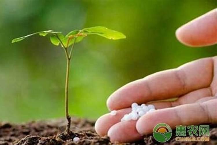 矿源黄腐酸钾的正确使用方法