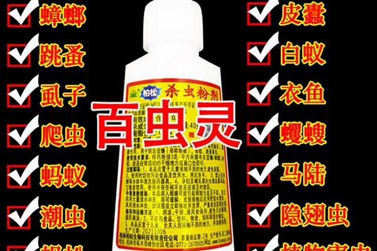 灯笼花长腻虫怎么办