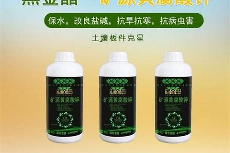 河蟹和鱼能一起混养吗