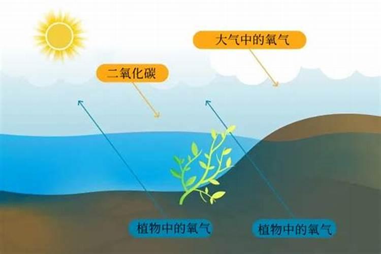 420的颗粒机那个厂最好