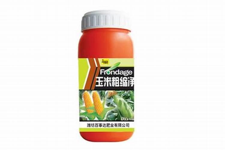芝麻收割后怎样处理