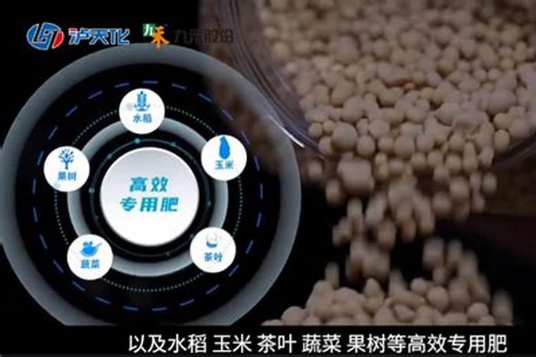 豆角催芽方法与步骤