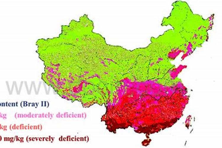 种植牧草用什么肥料好