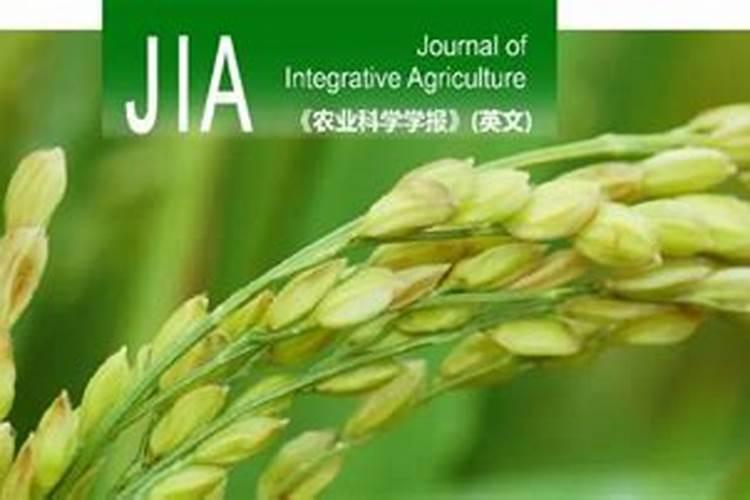 氮肥的使用方法和技巧