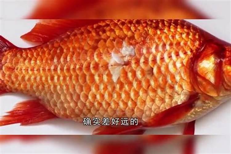 ...用矿泉水冲调完,喝起来有股刺鼻的味道是怎么回事？
