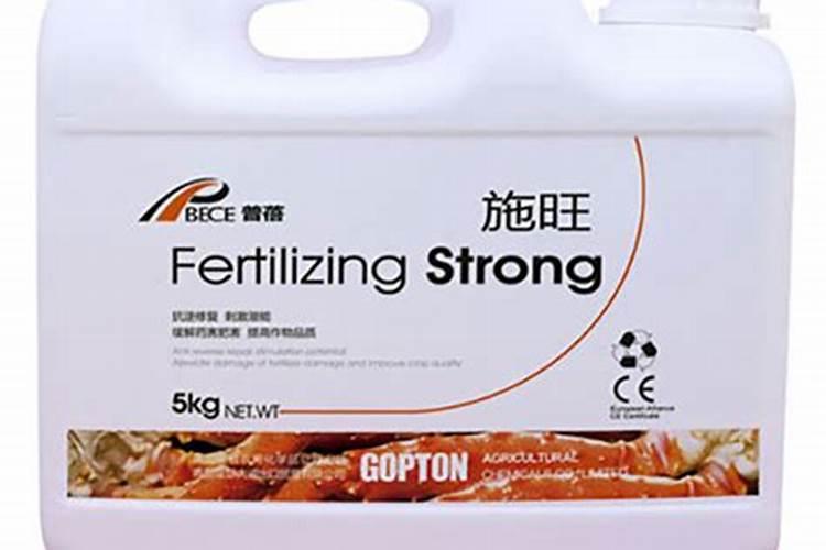 大连樱桃几月份成熟