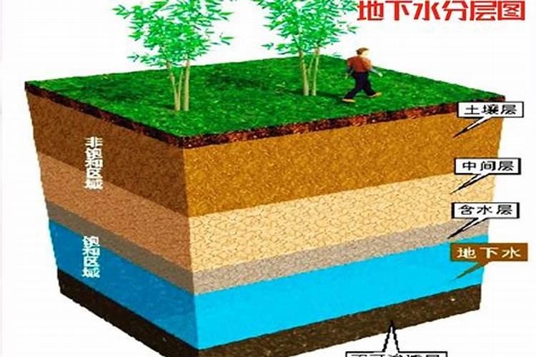 教你自己做好花肥