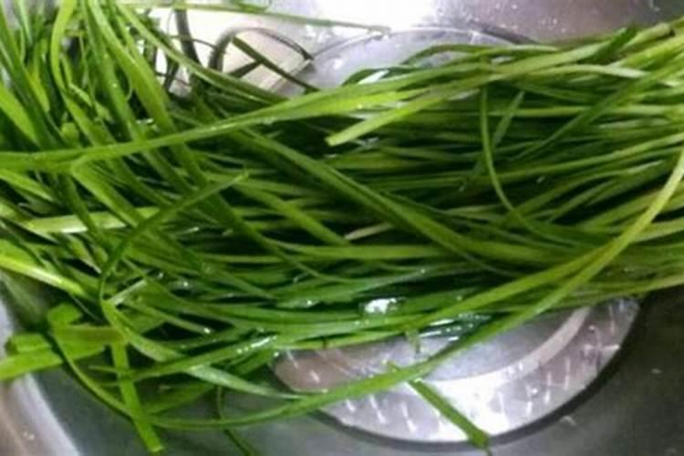 刚割完的韭菜撒草木灰怎么放(割掉后能用草木灰追肥吗)