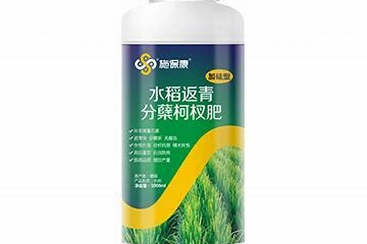 水稻施硅肥应该怎么施？一亩田用多少硅肥？