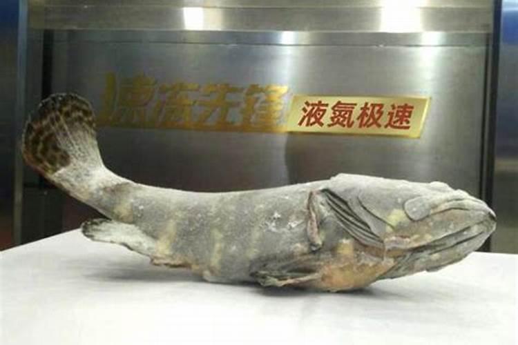 鱼蛋白肥料的缺点