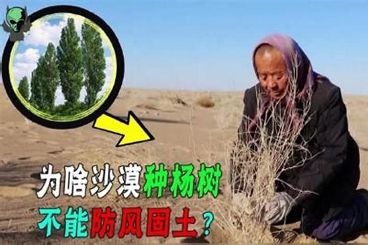 氮肥被作物吸收时有两种型态,分别是？