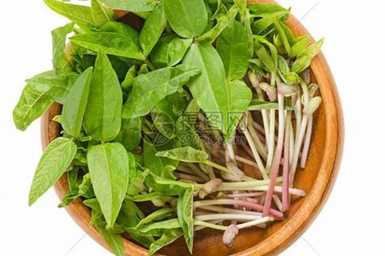 绿豆打什么药能高产和上什么肥料？