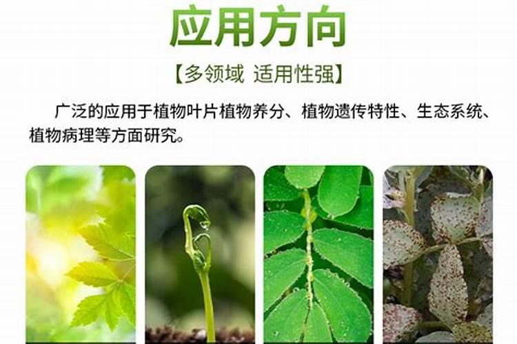 360度控根盆好用吗