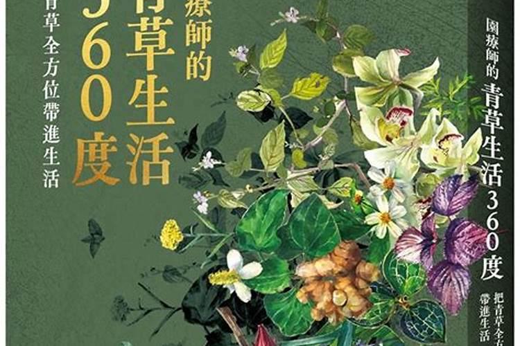 绿萝180号360号差别讲的是盆子型号吗