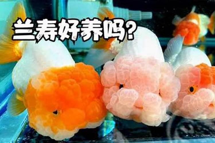 混施肥料要注意哪些事项？