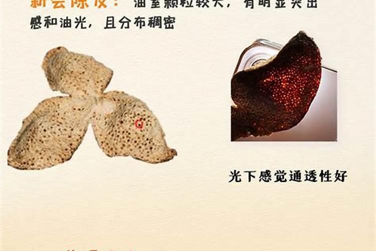 叶面肥是有机肥吗 有机肥可以叶面喷施吗