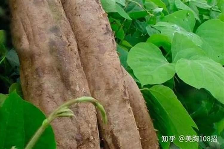 怎么判断草莓品质的好坏呢？