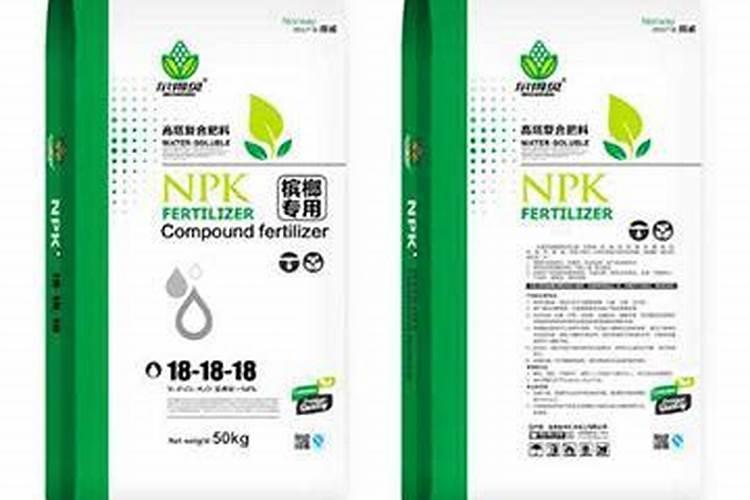 槟榔树几月份生长旺季