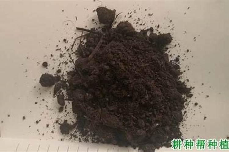 有机肥要果树快速生根需要什么养分？