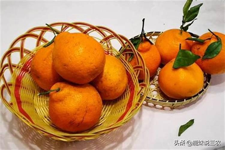 丑桔几年结果实