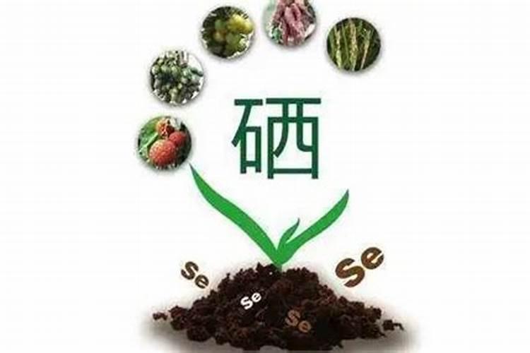 补充硒元素的叶面肥有哪些？