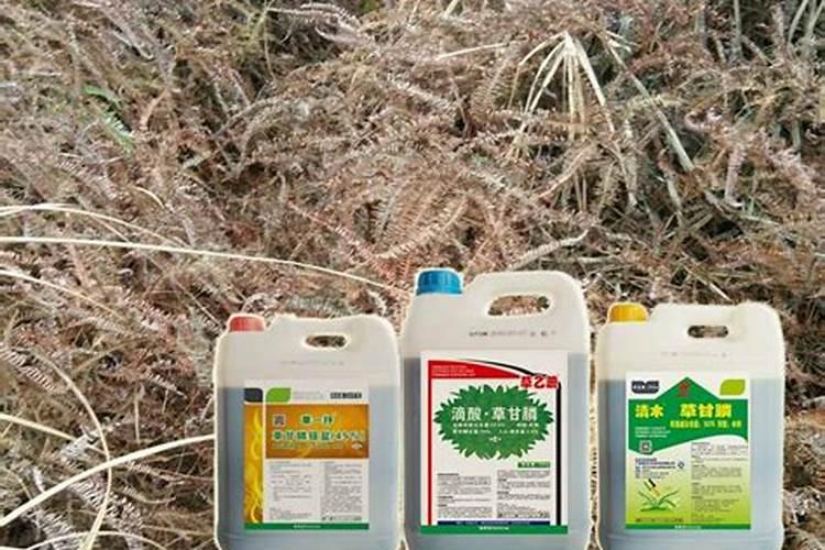 除草剂打重复了怎么办,什么时间段喷施效果好