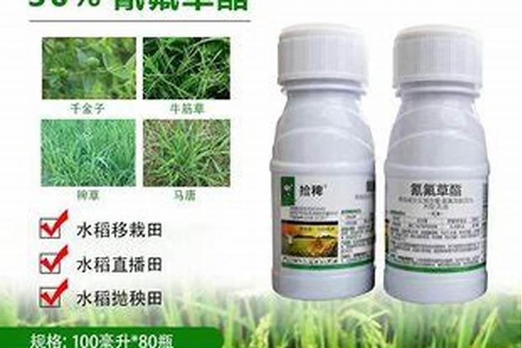 红掌黄叶是怎么回事？该怎么补救？