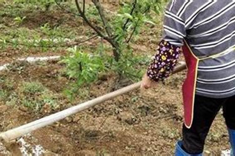 复合肥可以兑水浇花吗