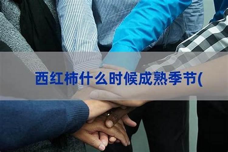 什么肥料施加给果树后能让果子长得又大又甜？