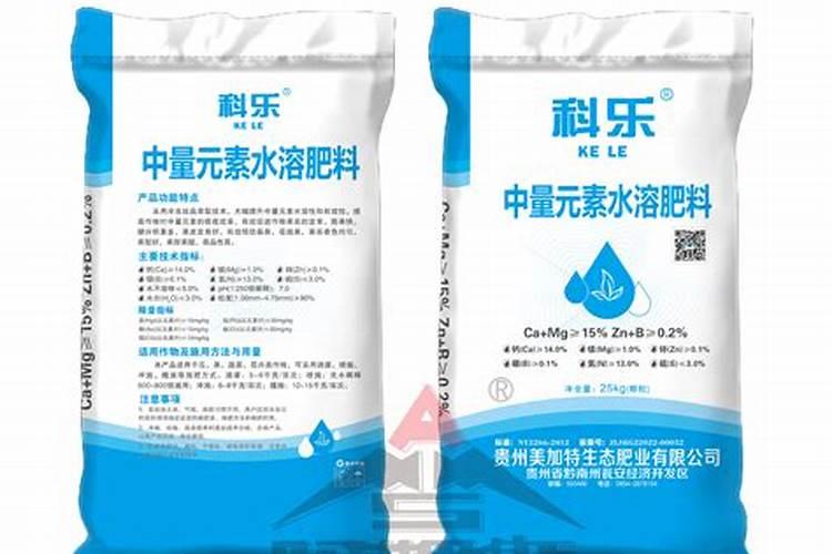 耐寒又好种植的草莓,它的生长周期是多久？