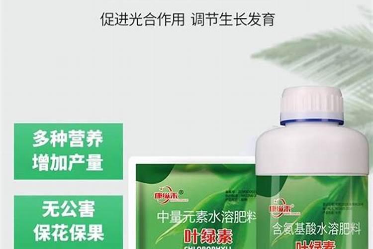 蒜苗种植什么时候施肥