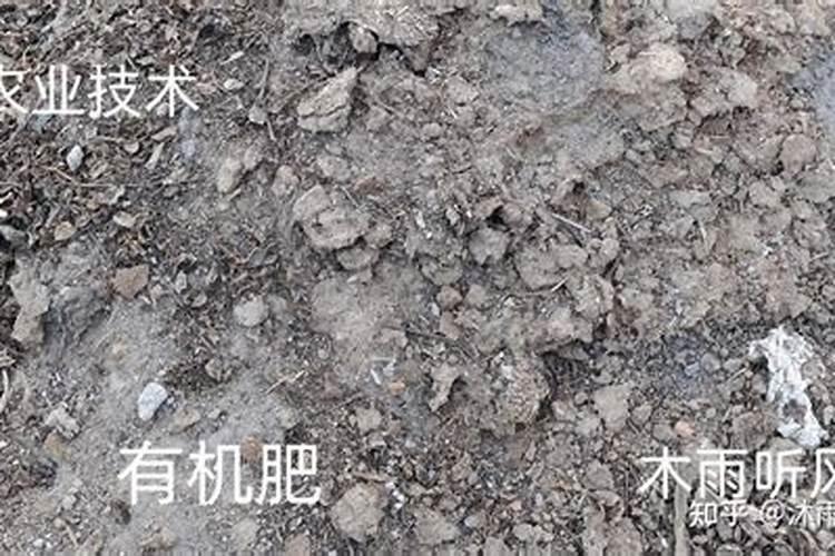 有机肥是什么肥料