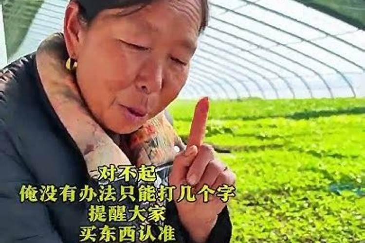 番茄用什么肥料最好
