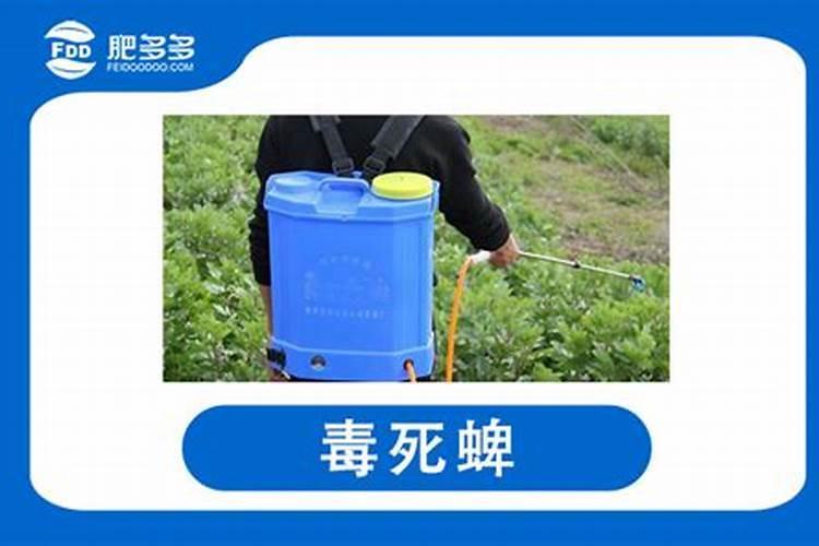 大蒜控释肥哪个牌子好