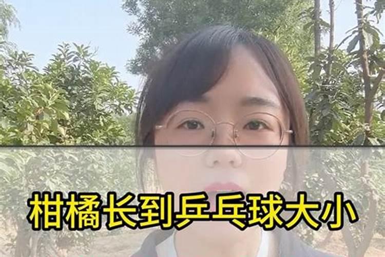白掌换盆后叶尖发黑叶子下垂怎么办？