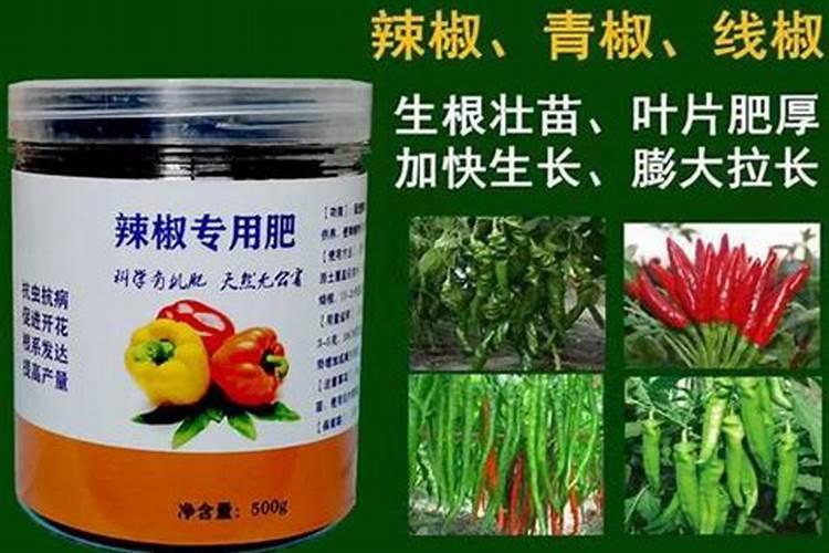 辣椒种植叶面肥很关键,辣椒种植叶面肥该怎么施肥？