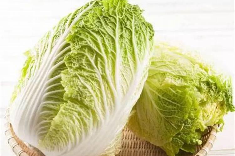 如何给白菜施肥