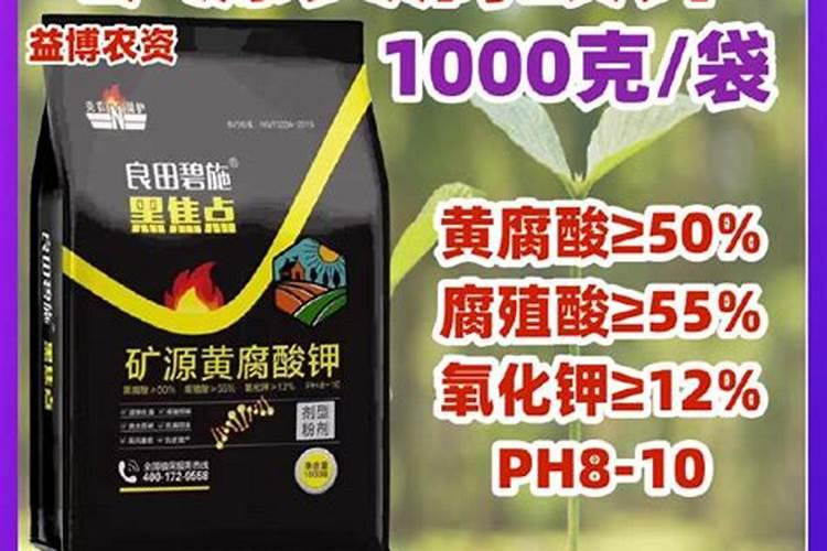 胰腺炎患者可以吃点什么营养品？